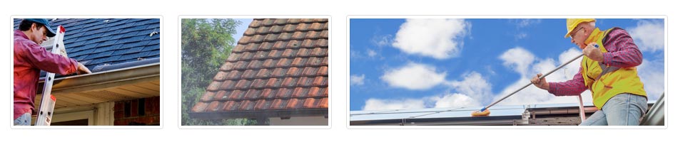 Ashprington roof cleaning costs