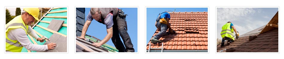 trade roof replacement jobs in Ashprington